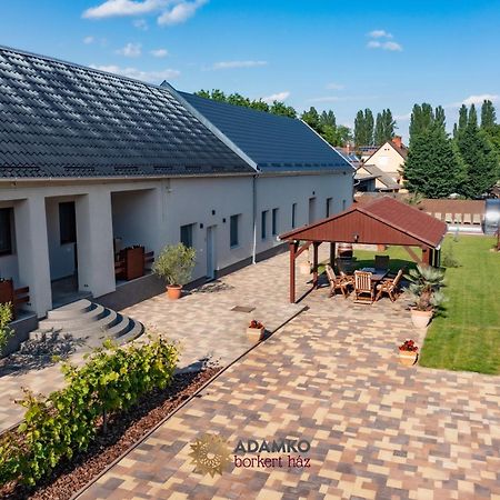 Bed and Breakfast Adamko Borkert Haz Villány Exterior foto