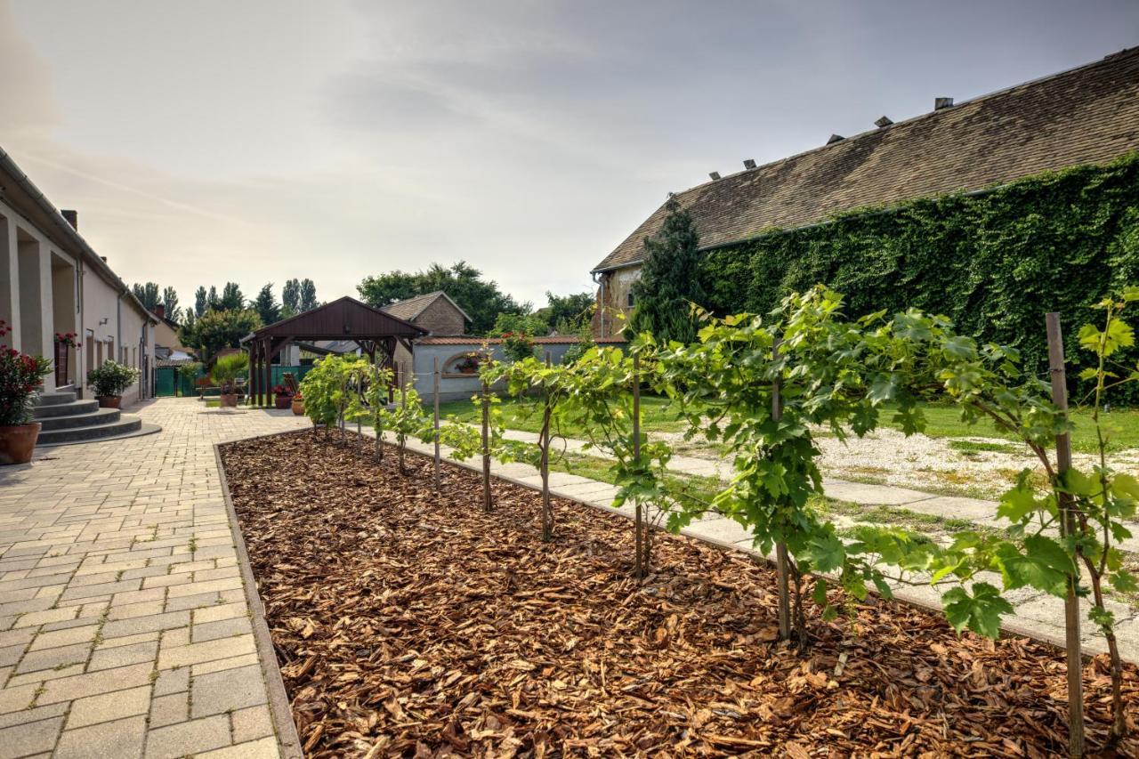 Bed and Breakfast Adamko Borkert Haz Villány Exterior foto